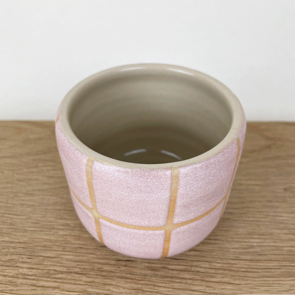 Rosy Fine Line Set