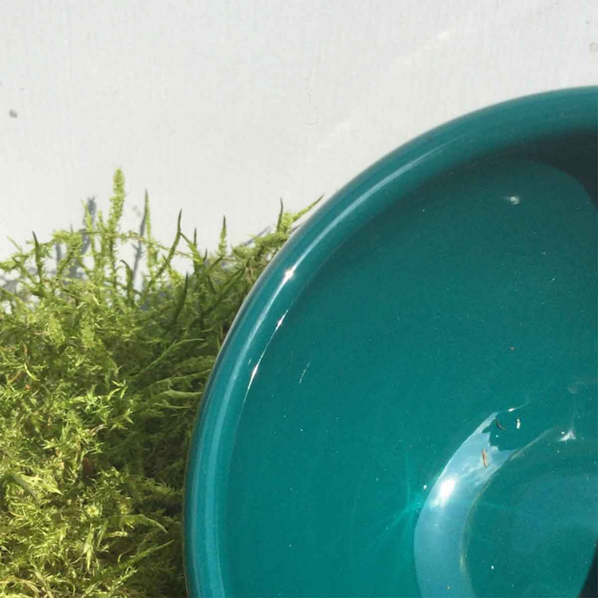 Botz Flüssigglasur Jadegrün 9373