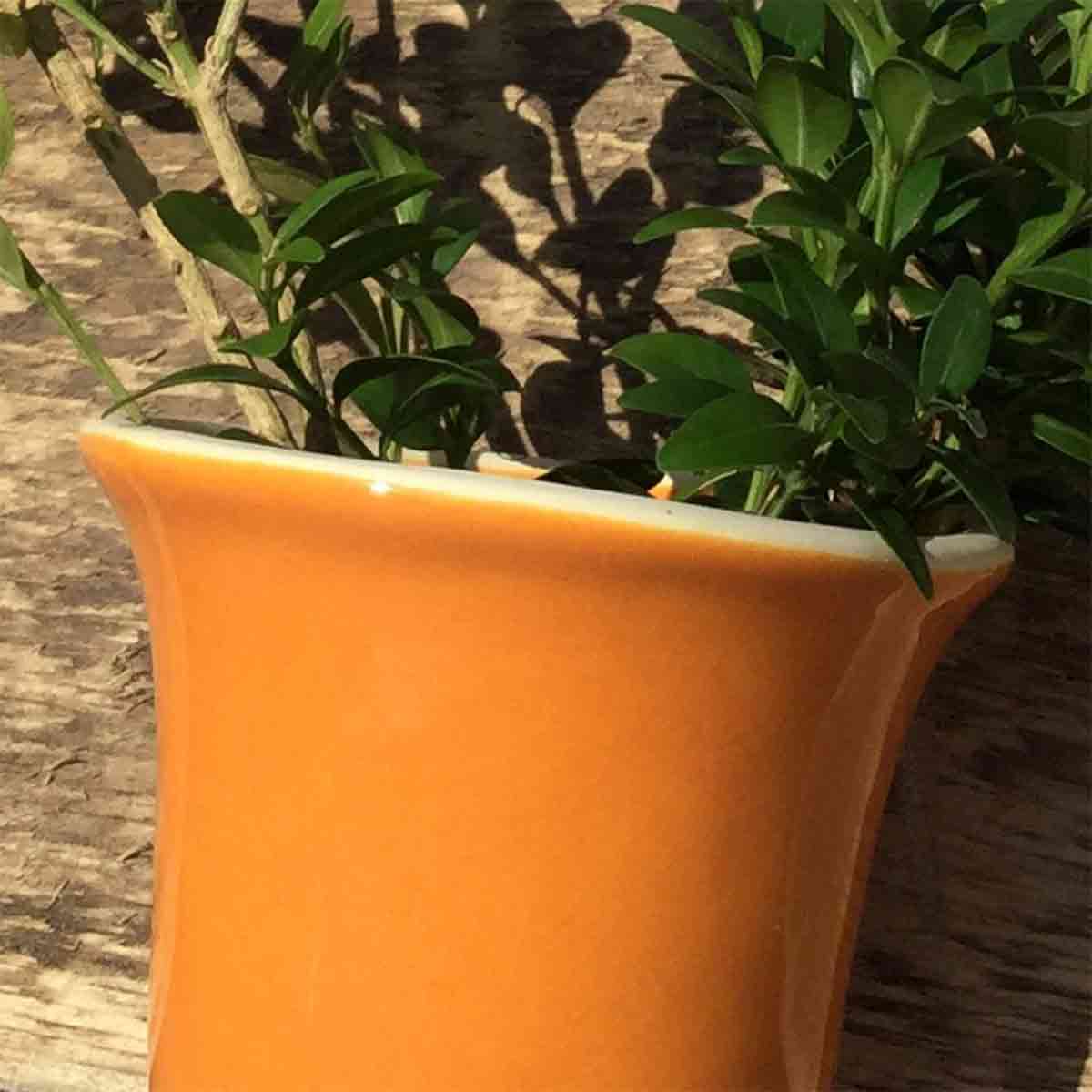Botz Flüssigglasur Kürbisorange 9486