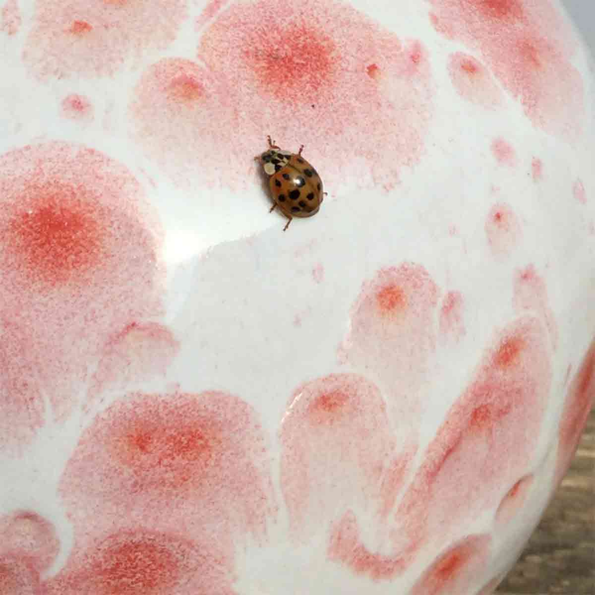Botz Flüssigglasur Morgenrot 9594